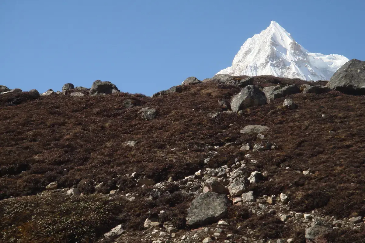 Trekking in Sikkim